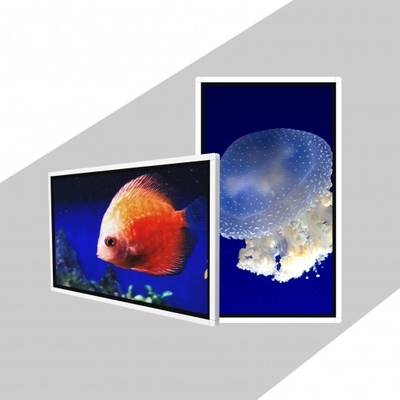 TFT 49 Inch Wall Mount Digital Signage Wall Mounted Digital Advertising Screen